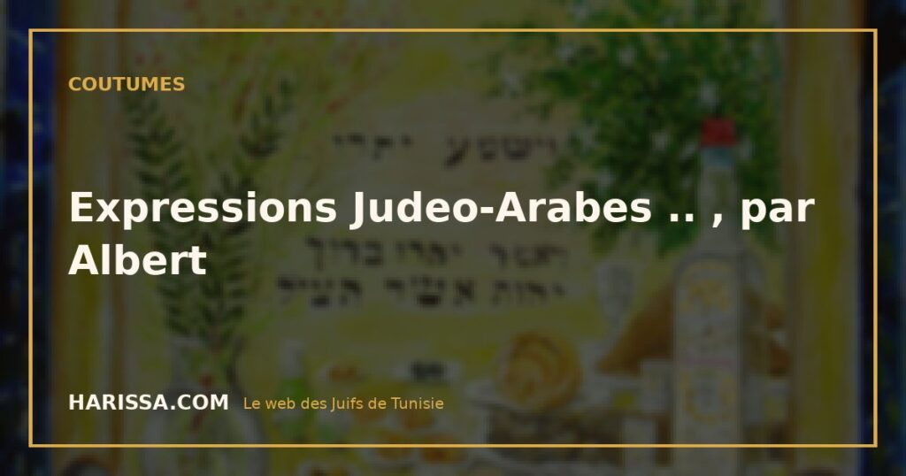 Expressions Judeo-Arabes .. , par Albert