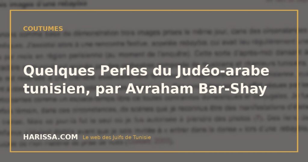 Quelques Perles du Judéo-arabe tunisien, par Avraham Bar-Shay