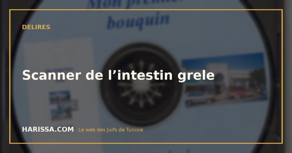 Scanner de l’intestin grele