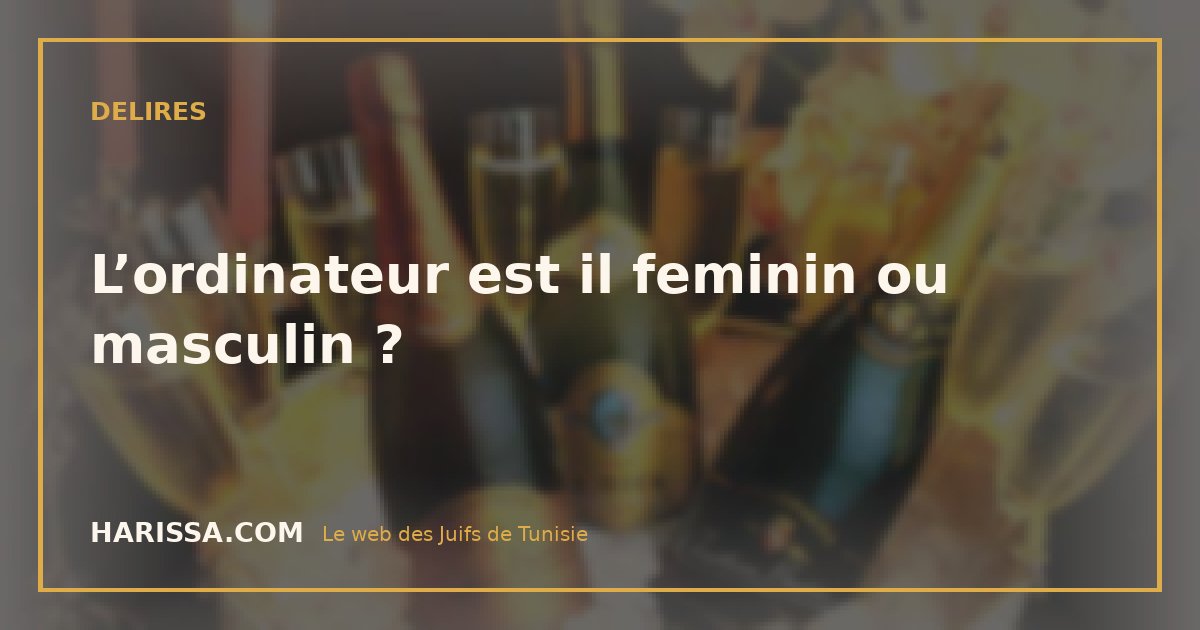 L’ordinateur est il feminin ou masculin ?