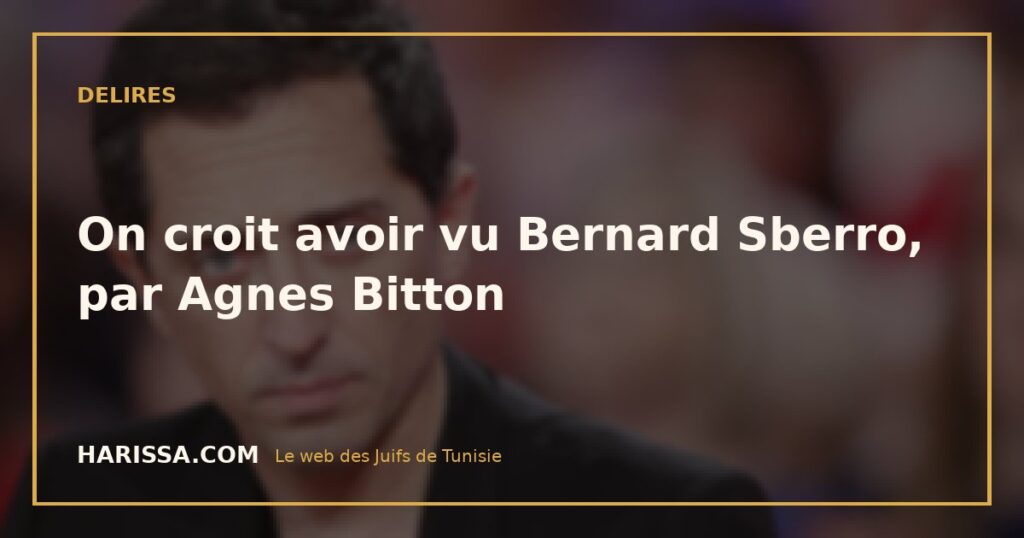 On croit avoir vu Bernard Sberro, par Agnes Bitton
