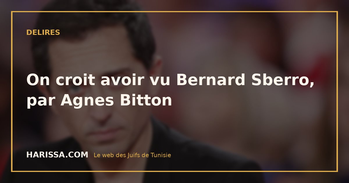 On croit avoir vu Bernard Sberro, par Agnes Bitton