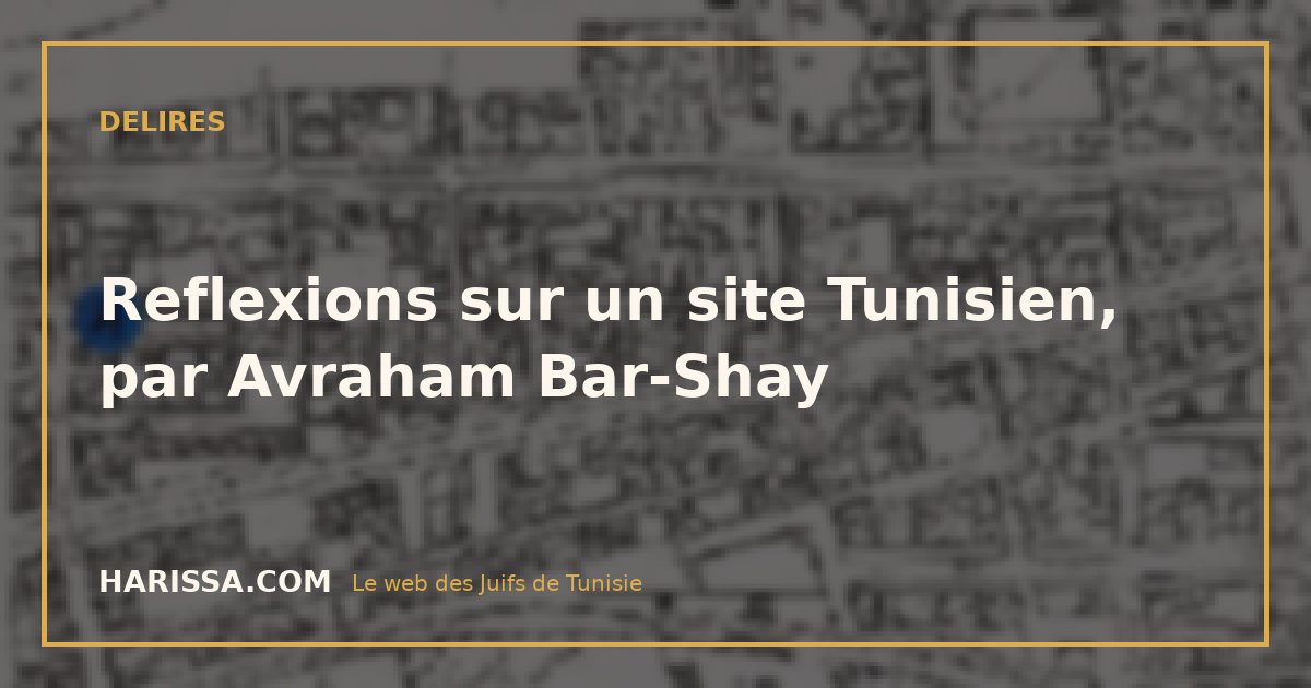 Reflexions sur un site Tunisien, par Avraham Bar-Shay