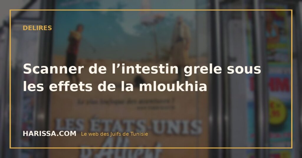 Scanner de l’intestin grele sous les effets de la mloukhia