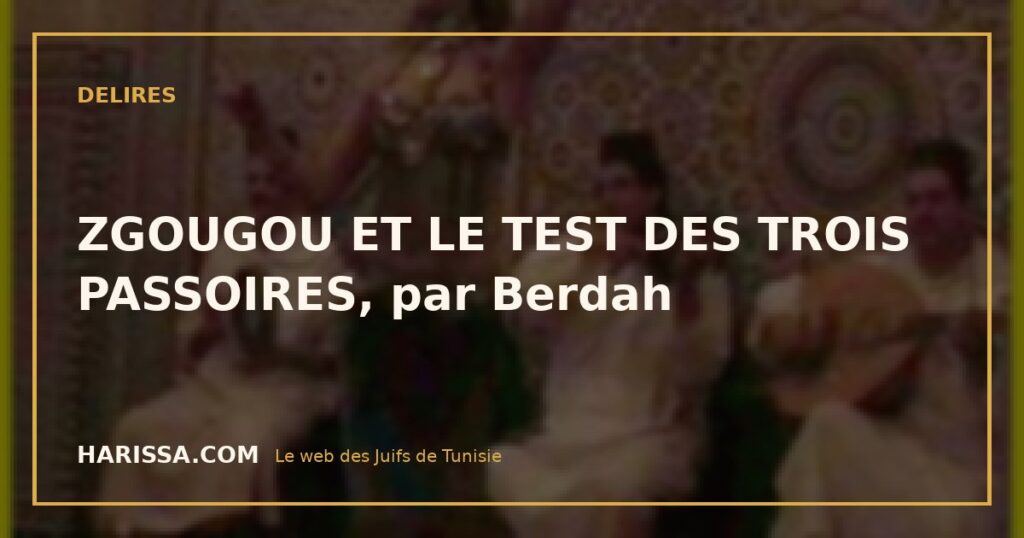 ZGOUGOU ET LE TEST DES TROIS PASSOIRES, par Berdah
