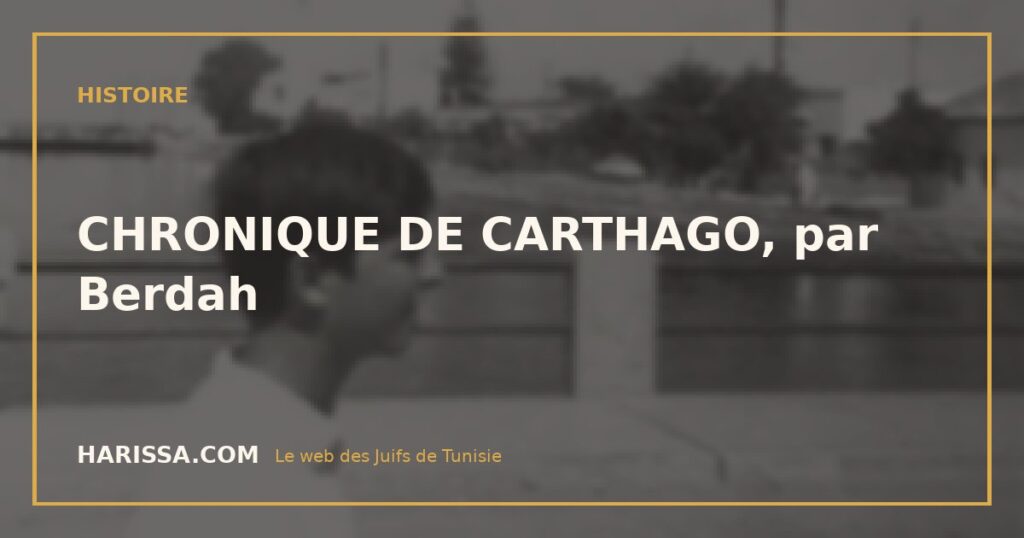 CHRONIQUE DE CARTHAGO, par Berdah