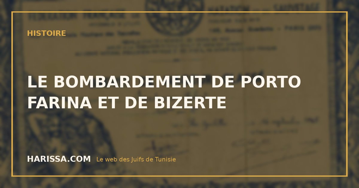 LE BOMBARDEMENT DE PORTO FARINA ET DE BIZERTE