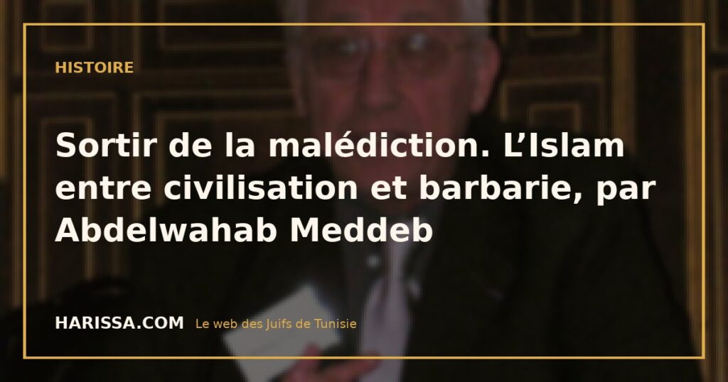 Sortir de la malédiction. L’Islam entre civilisation et barbarie, par Abdelwahab Meddeb