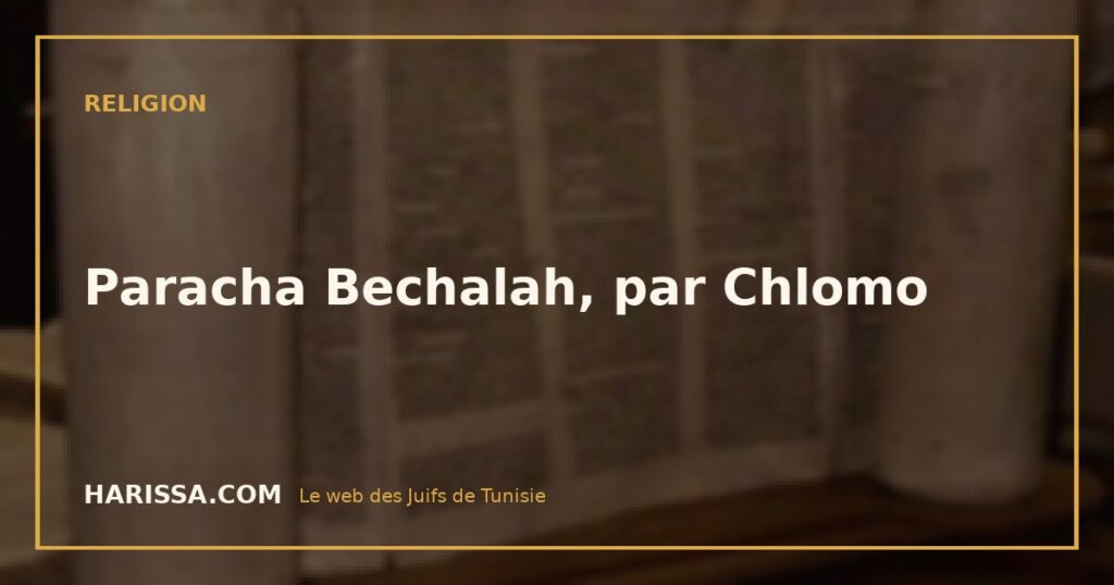 Paracha Bechalah, par Chlomo