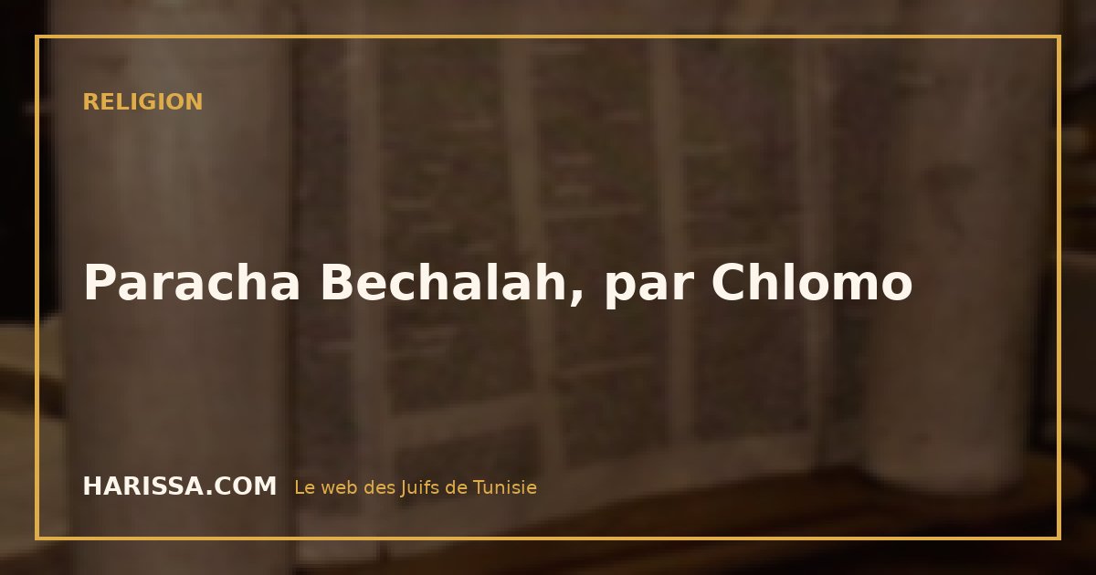 Paracha Bechalah, par Chlomo