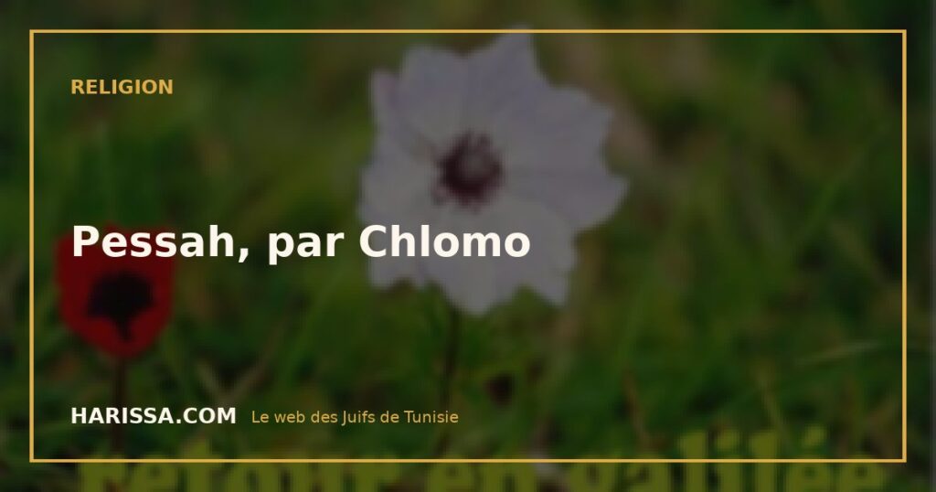 Pessah, par Chlomo