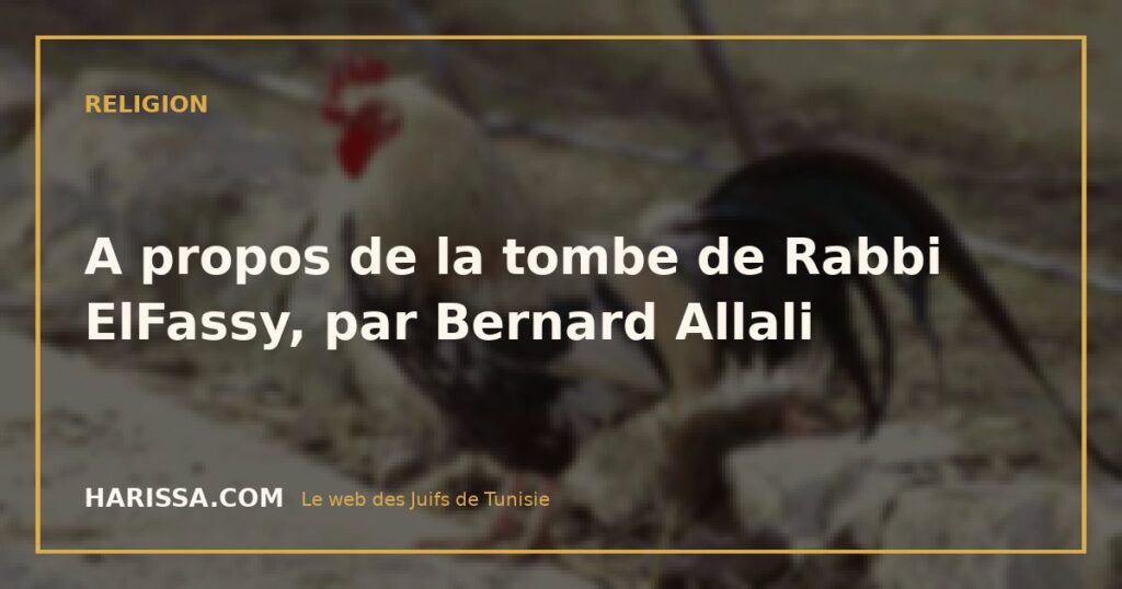 A propos de la tombe de Rabbi ElFassy, par Bernard Allali