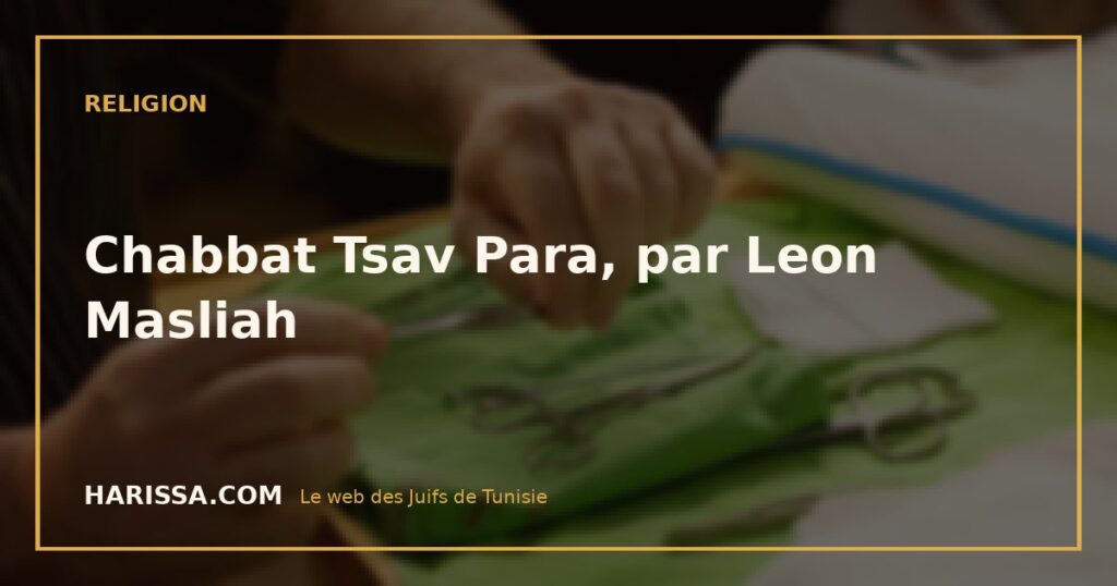 Chabbat Tsav Para, par Leon Masliah