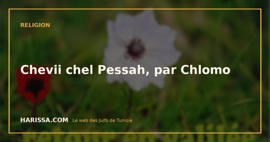 Chevii chel Pessah, par Chlomo