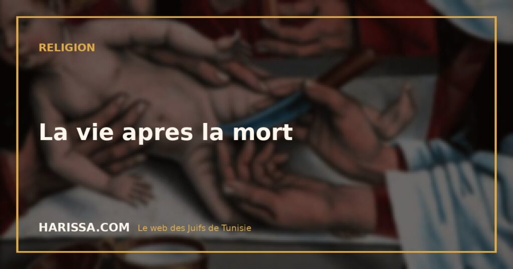La vie apres la mort