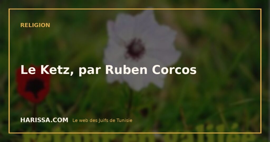 Le Ketz, par Ruben Corcos