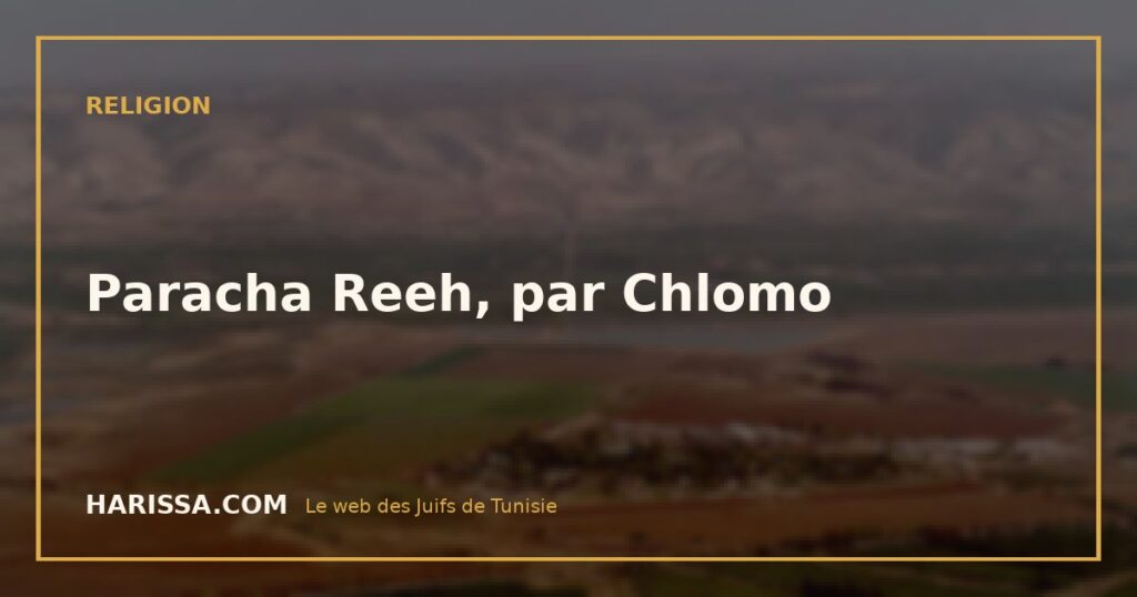 Paracha Reeh, par Chlomo