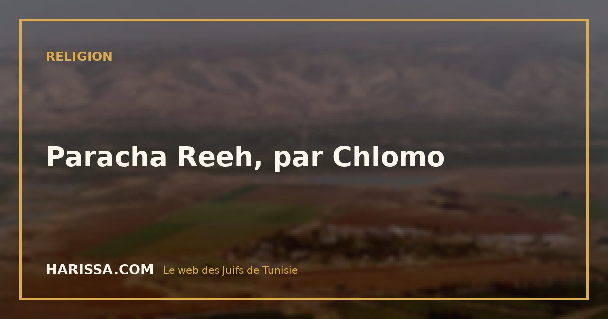 Paracha Reeh, par Chlomo