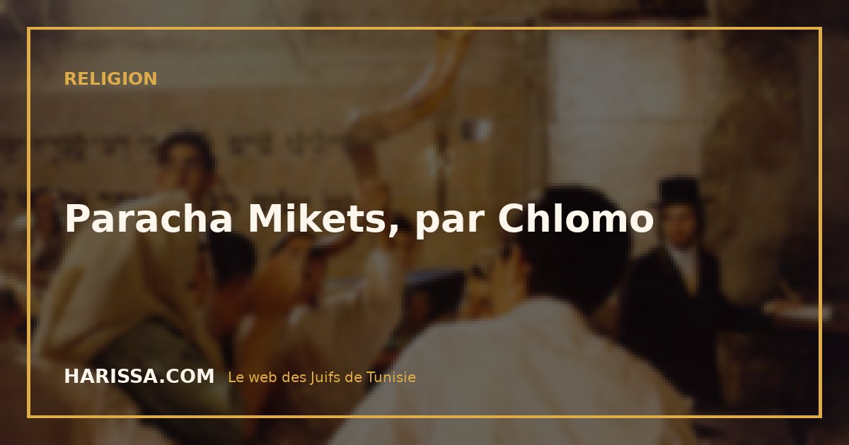 Paracha Mikets, par Chlomo