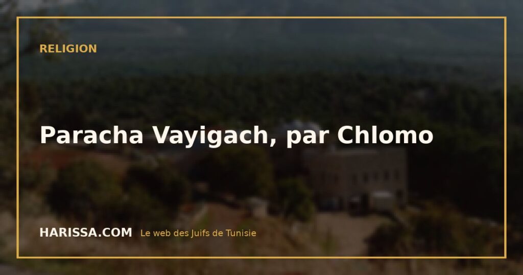 Paracha Vayigach, par Chlomo