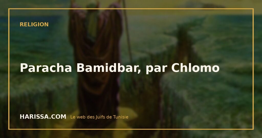Paracha Bamidbar, par Chlomo