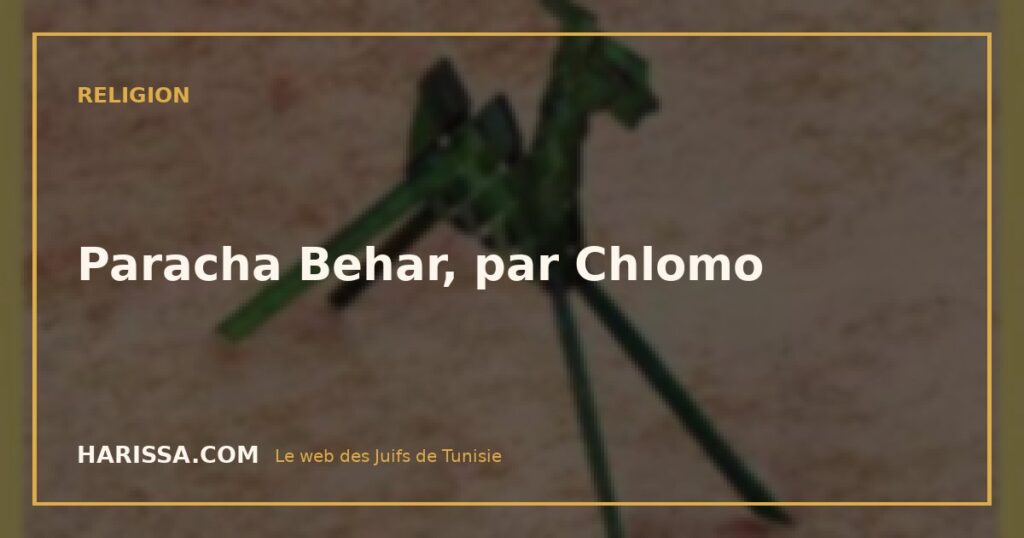 Paracha Behar, par Chlomo