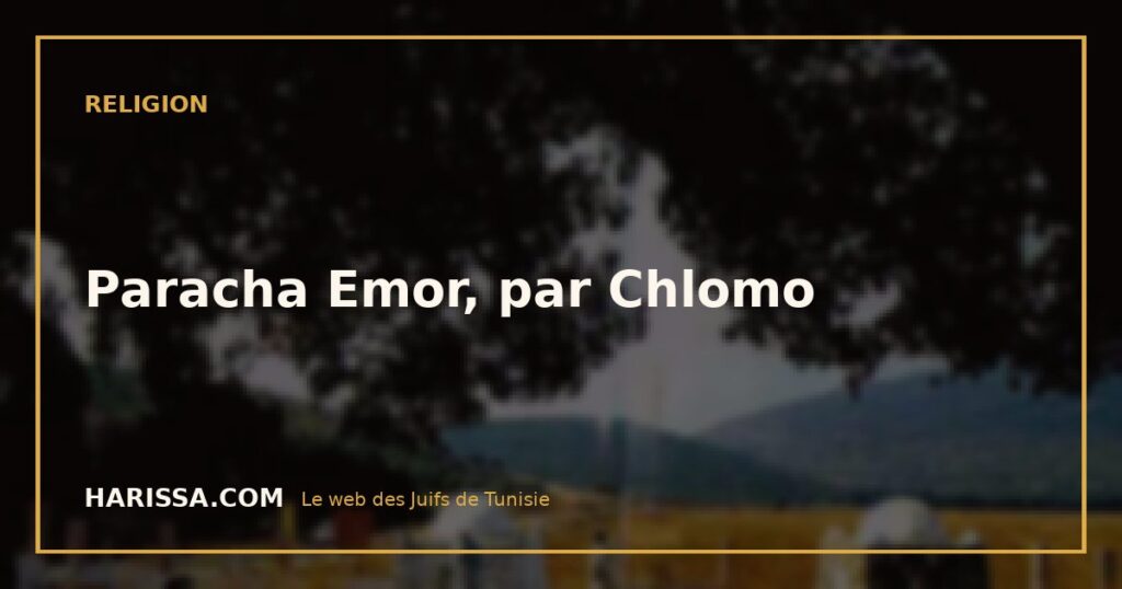 Paracha Emor, par Chlomo