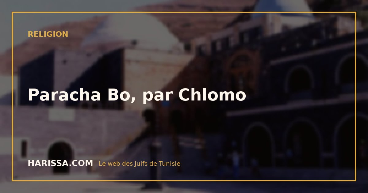 Paracha Bo, par Chlomo