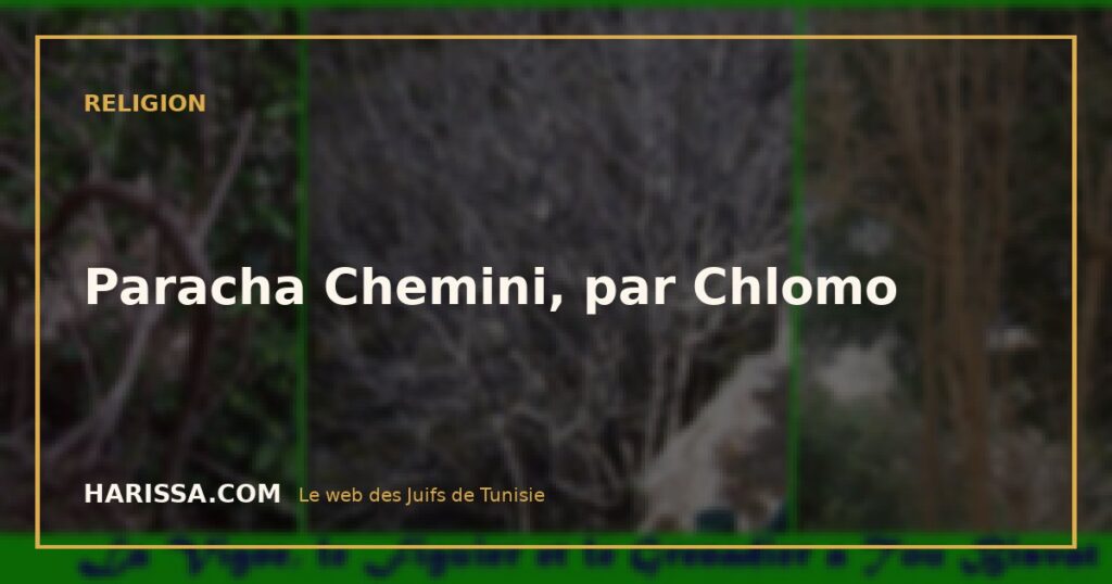 Paracha Chemini, par Chlomo