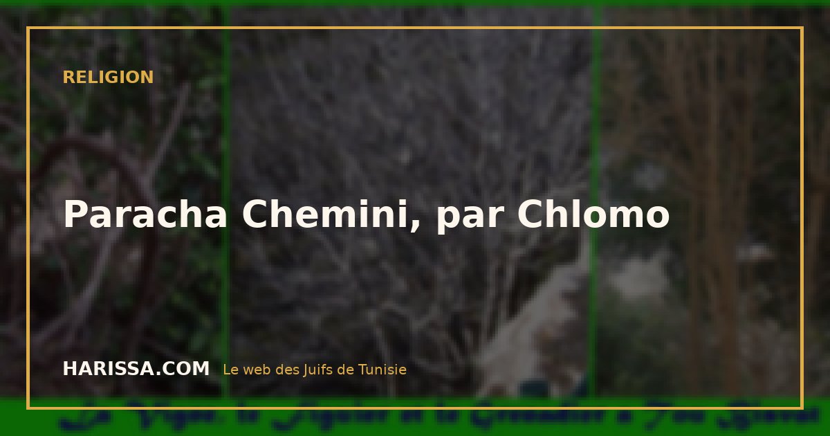 Paracha Chemini, par Chlomo