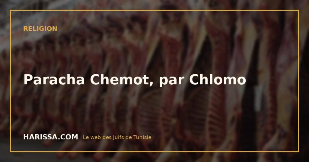 Paracha Chemot, par Chlomo