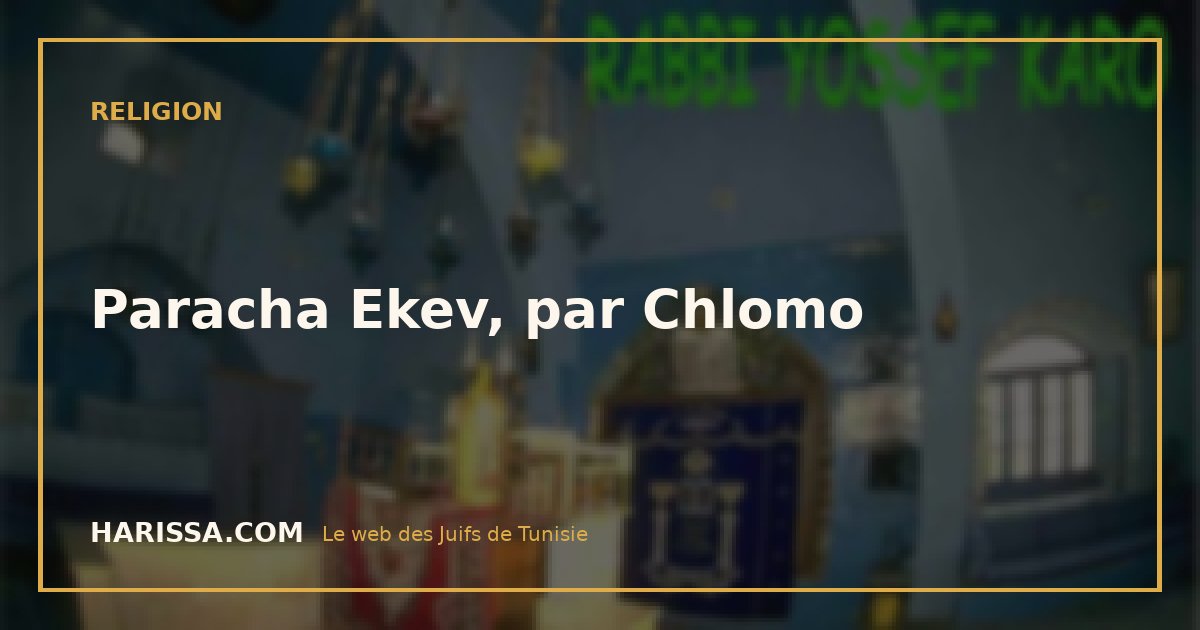 Paracha Ekev, par Chlomo