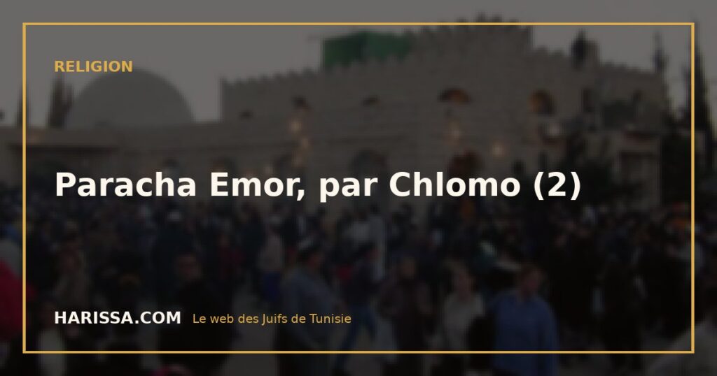 Paracha Emor, par Chlomo (2)