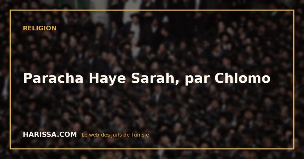 Paracha Haye Sarah, par Chlomo