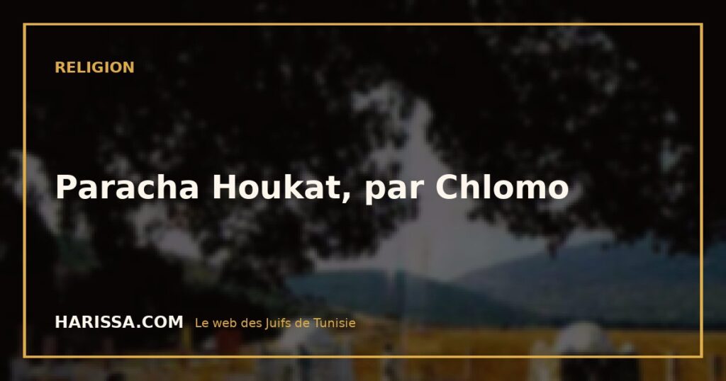 Paracha Houkat, par Chlomo