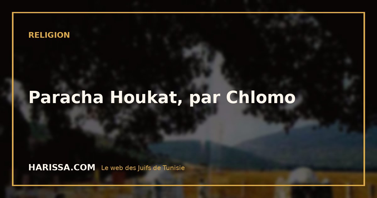 Paracha Houkat, par Chlomo