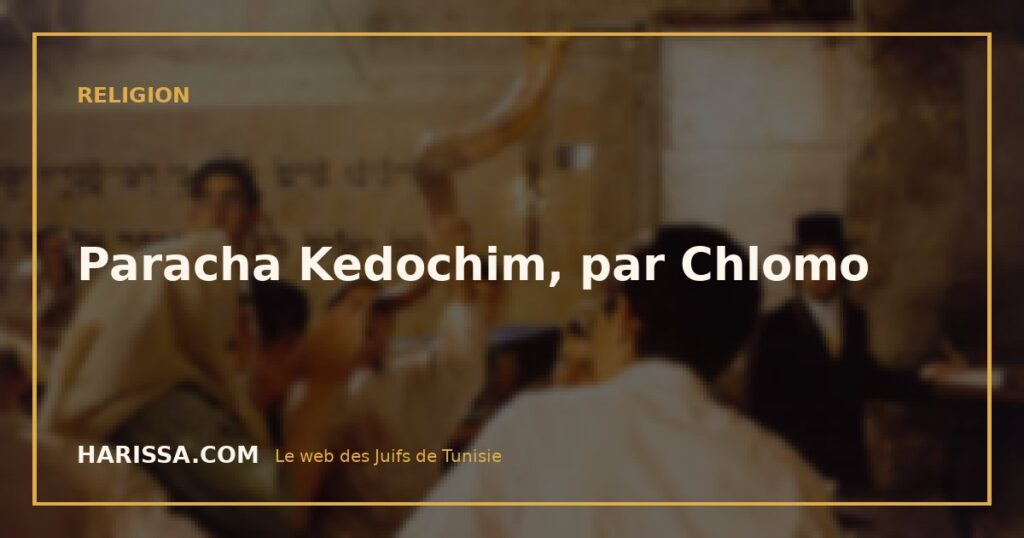 Paracha Kedochim, par Chlomo