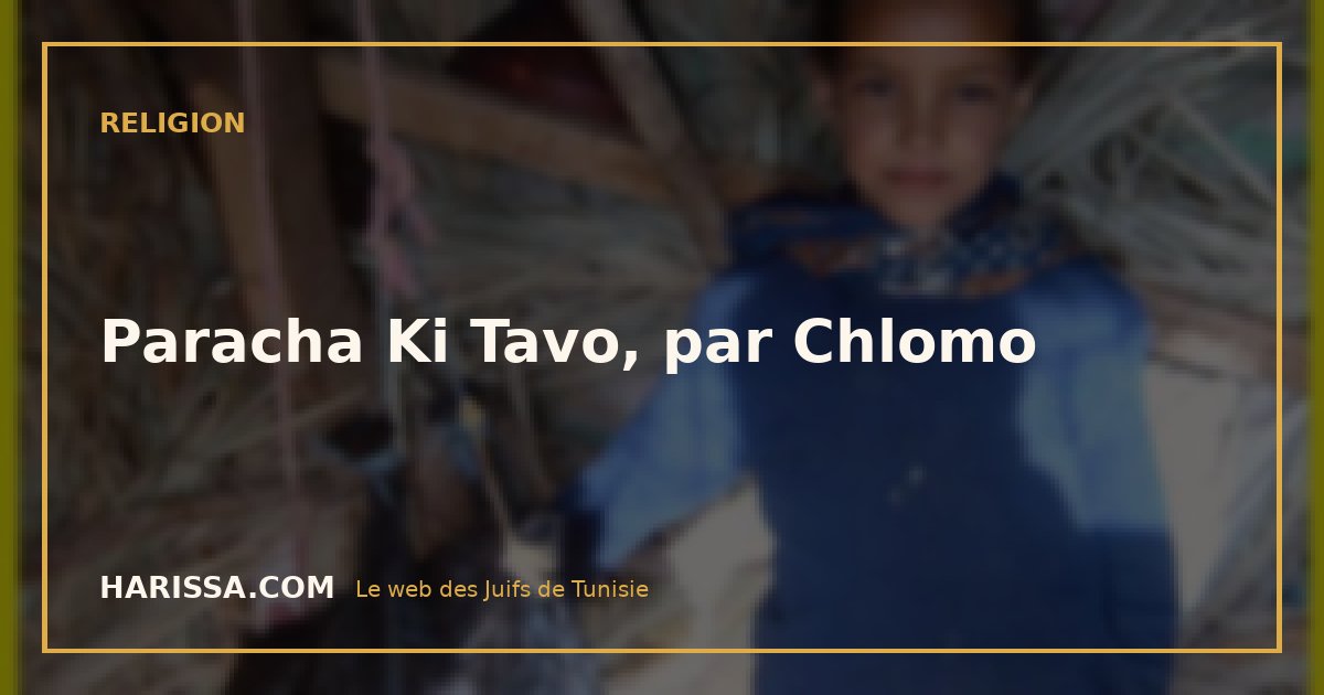 Paracha Ki Tavo, par Chlomo
