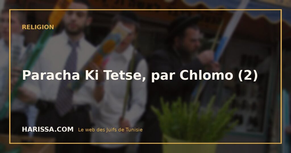 Paracha Ki Tetse, par Chlomo (2)