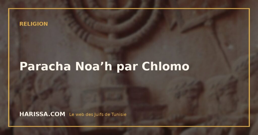 Paracha Noa’h par Chlomo