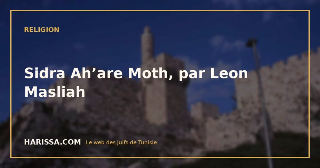 Sidra Ah’are Moth, par Leon Masliah