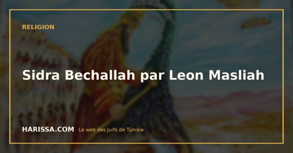 Sidra Bechallah par Leon Masliah