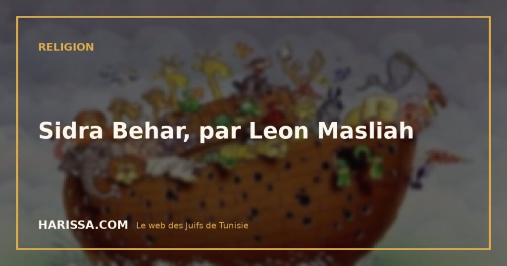 Sidra Behar, par Leon Masliah