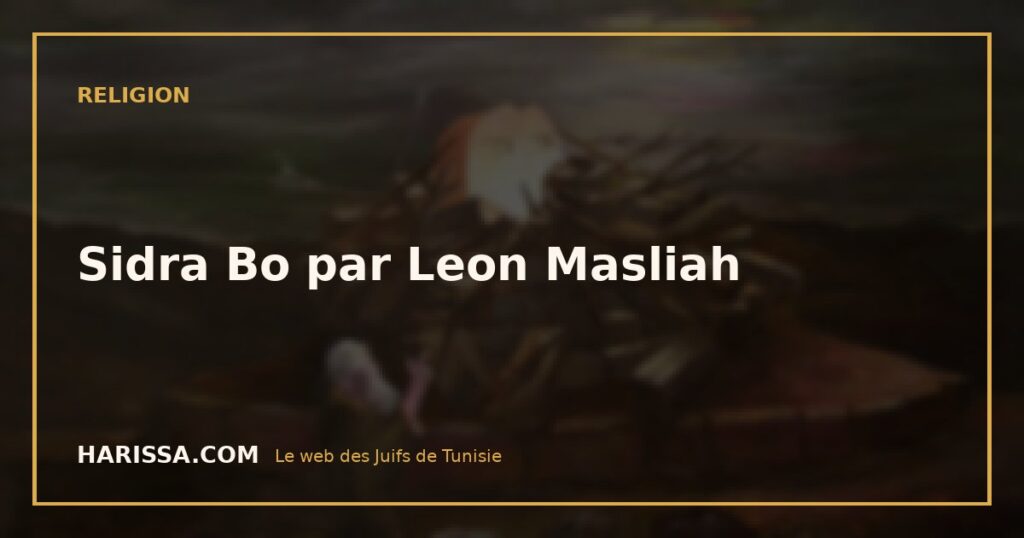 Sidra Bo par Leon Masliah