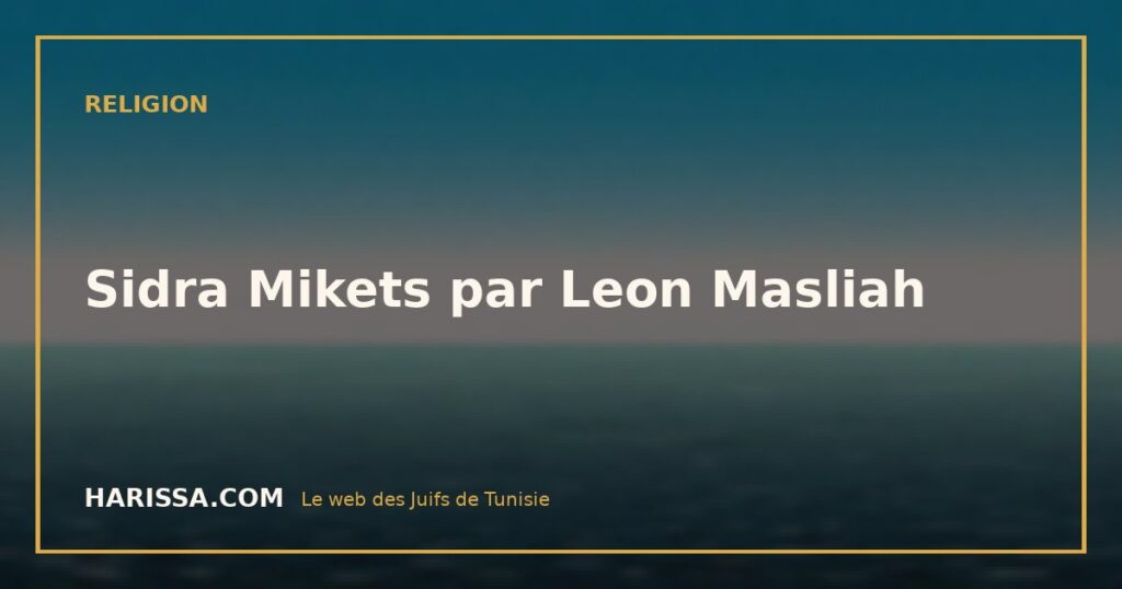 Sidra Mikets par Leon Masliah