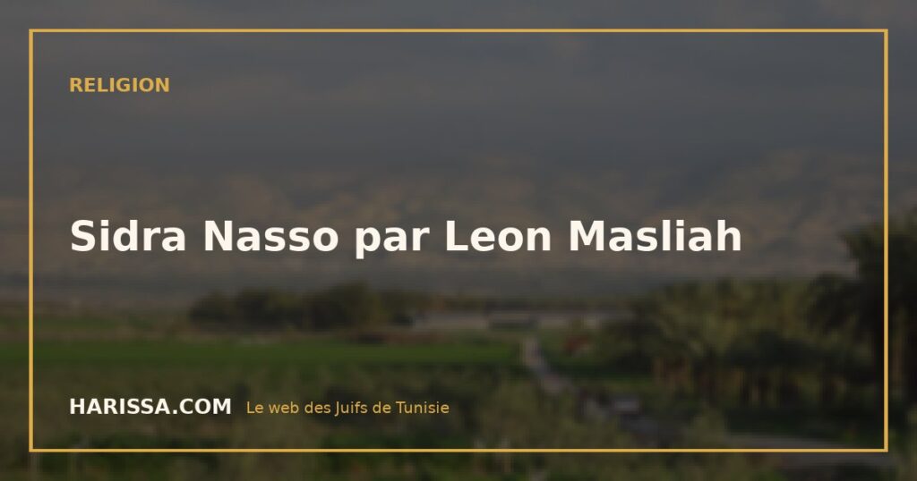 Sidra Nasso par Leon Masliah
