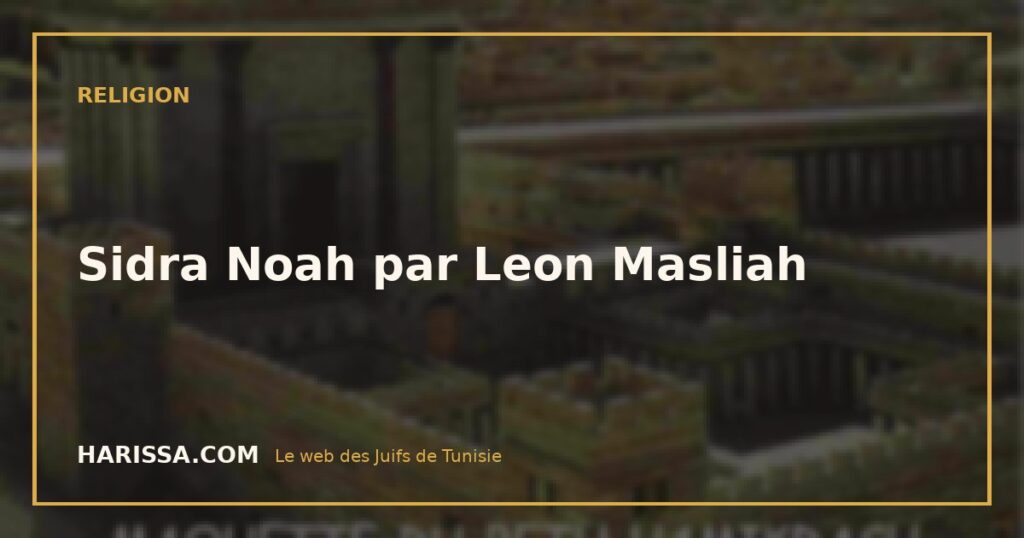 Sidra Noah par Leon Masliah