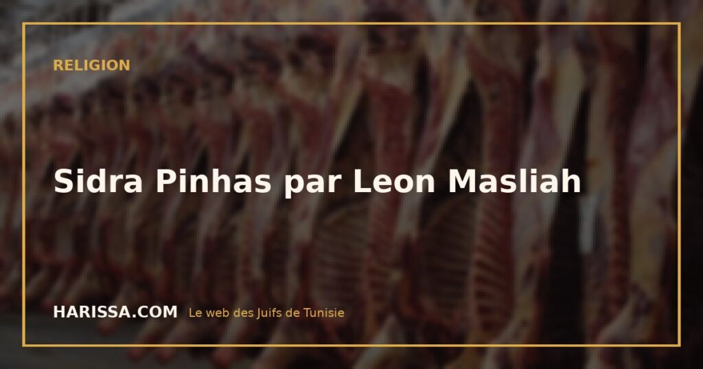 Sidra Pinhas par Leon Masliah