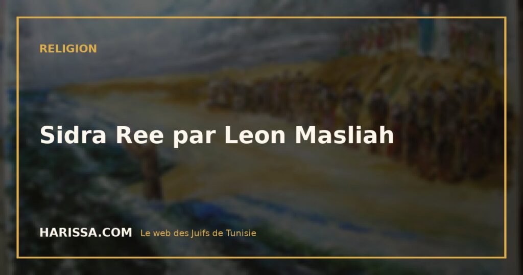 Sidra Ree par Leon Masliah