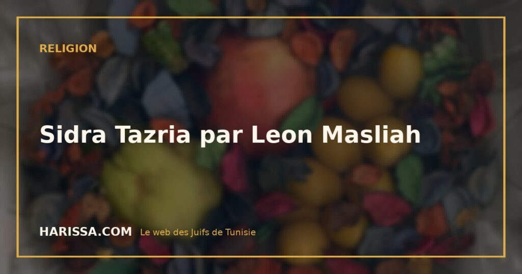 Sidra Tazria par Leon Masliah